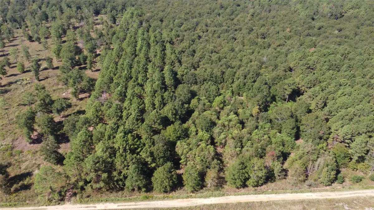 TBD Fm-2457, Livingston, TX 77351 - Image #1