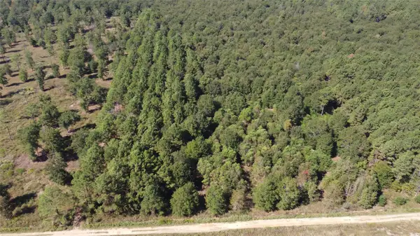 TBD Fm-2457, Livingston, TX 77351