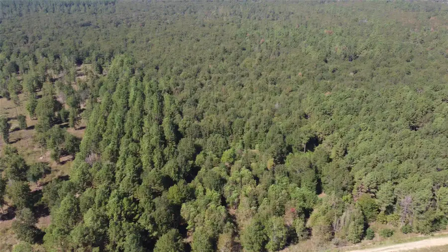 TBD Fm-2457, Livingston, TX 77351 - Image #2