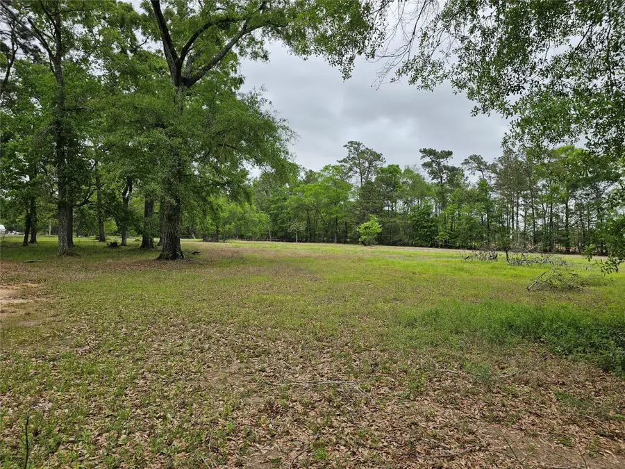 15784 Tree Monkey Rd, Conroe, TX 77303 - Image #3