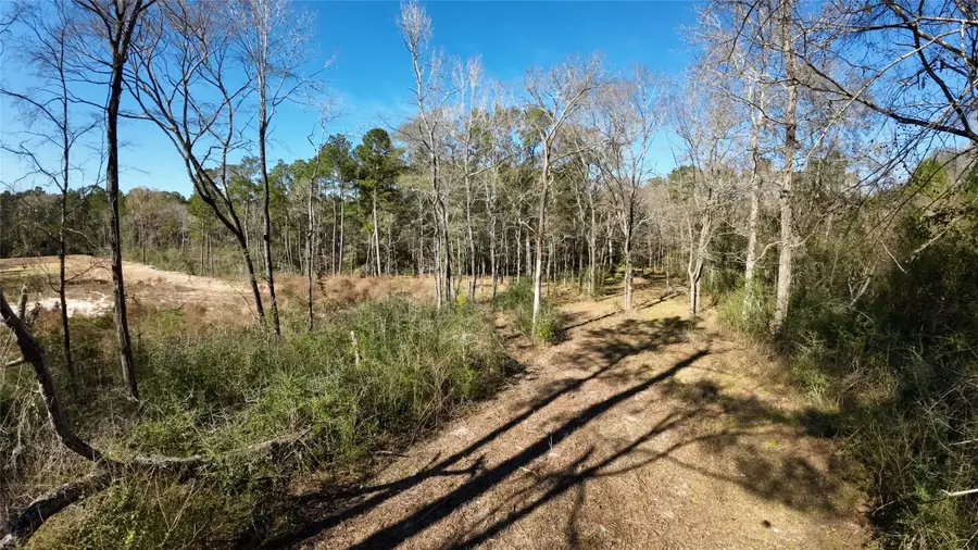 9367-2 Fm 149 Road, Montgomery, TX 77316 - #3