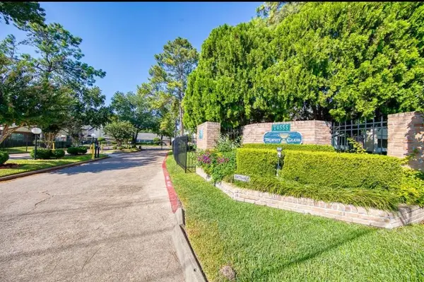 14555 Wunderlich Drive Drive #2508, Houston, TX 77069