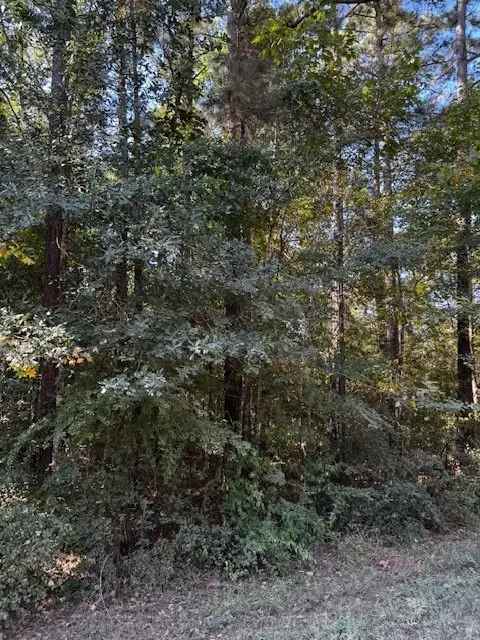 #3