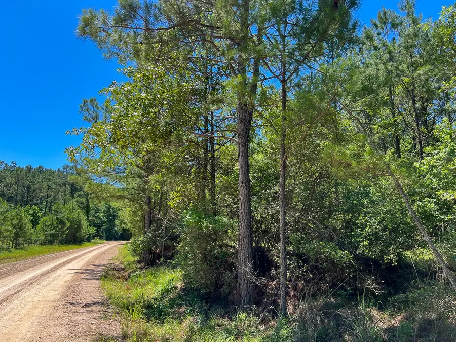 12 Howell Road, Corrigan, TX 75939 - #2