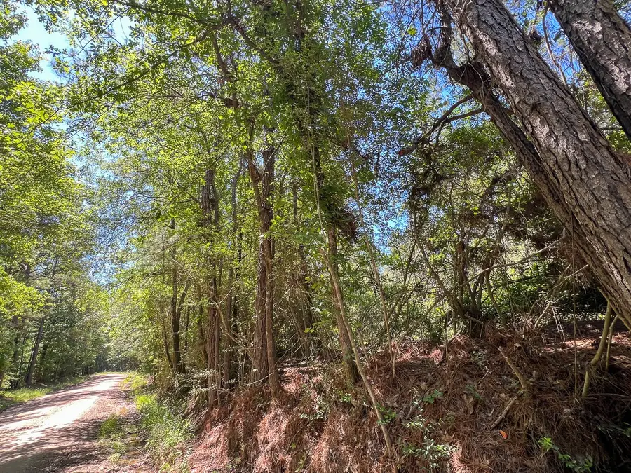 12 Howell Road, Corrigan, TX 75939 - #3