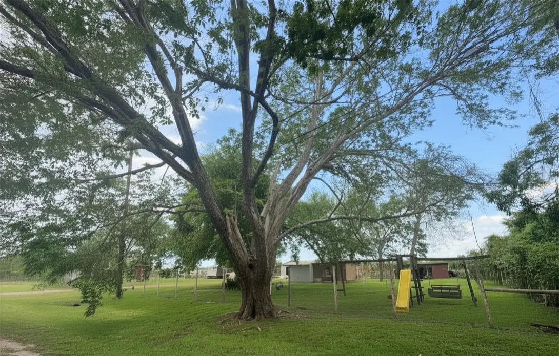 8925 Spruce Street, Hitchcock, TX 77563 - #1