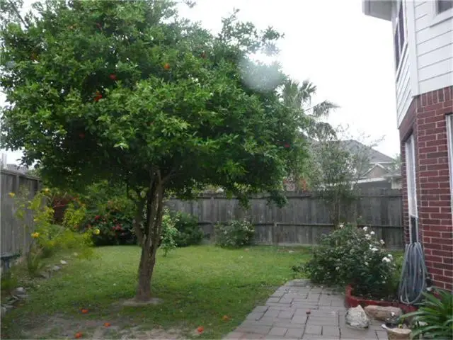 4327 Spring Brook Court, Houston, TX 77041 - Image #2