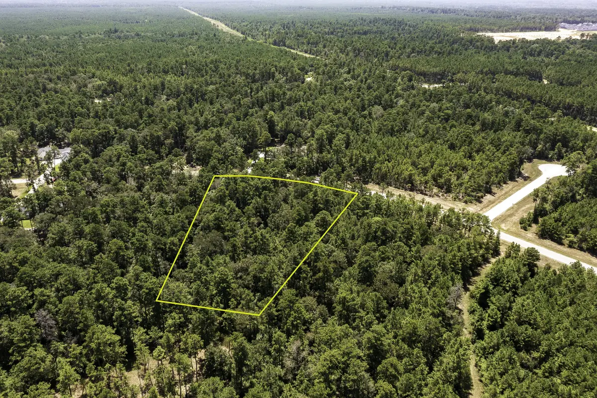 15628 Wood Grove Way, Willis, TX 77378 - #1