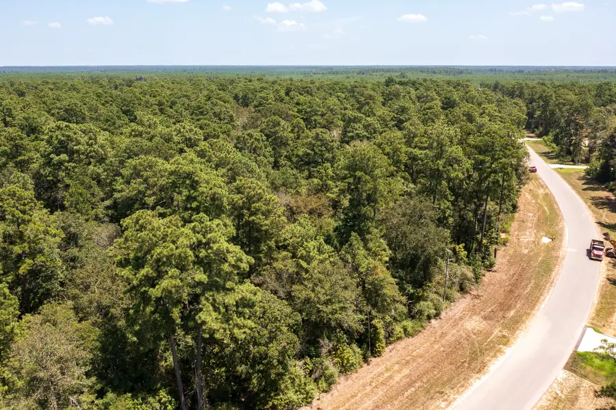 15628 Wood Grove Way, Willis, TX 77378 - #3