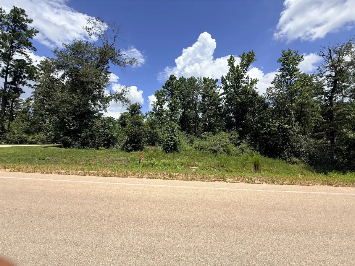 12075 High Branch Way, Willis, TX 77378 - #1