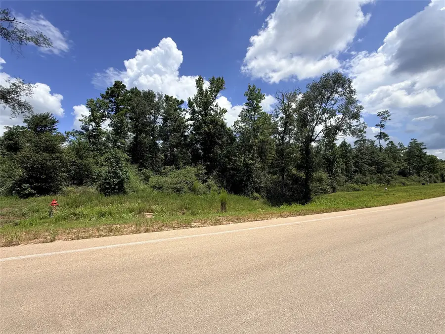 12075 High Branch Way, Willis, TX 77378 - #3