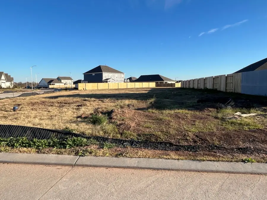 32403 Slender Spreadwing Drive, Fulshear, TX 77441 - Image #2
