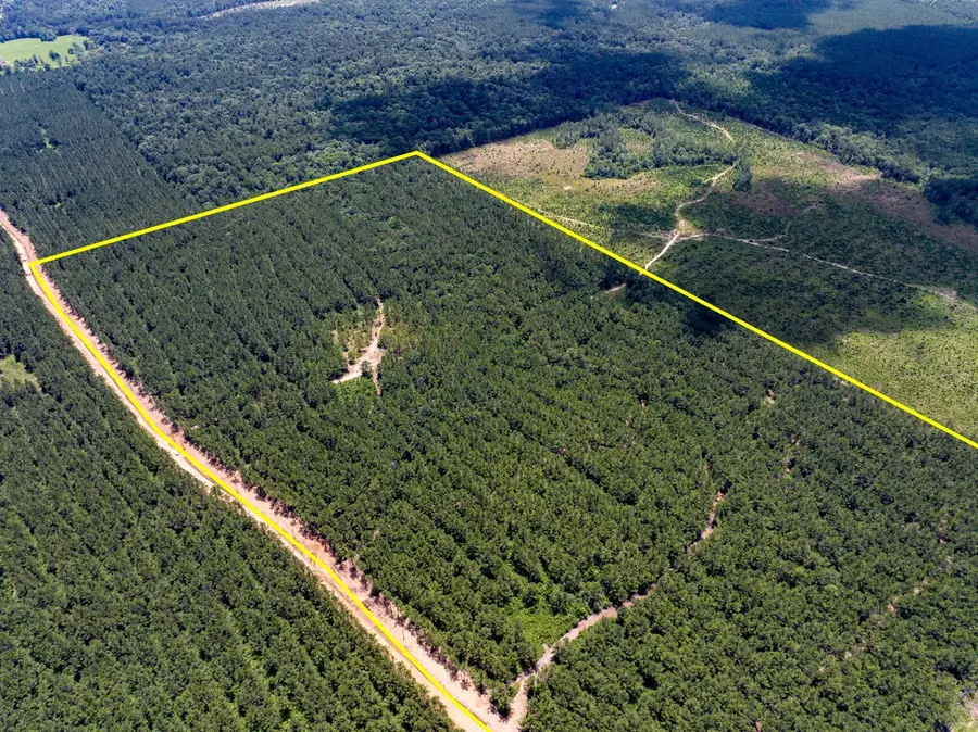 4 Benny Griffin Road, Livingston, TX 77351 - Image #3