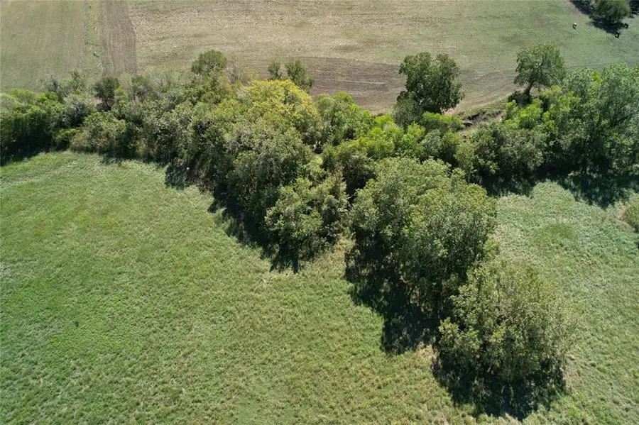 5568 Bleiblerville Road, Bleiblerville, TX 78931 - Image #3