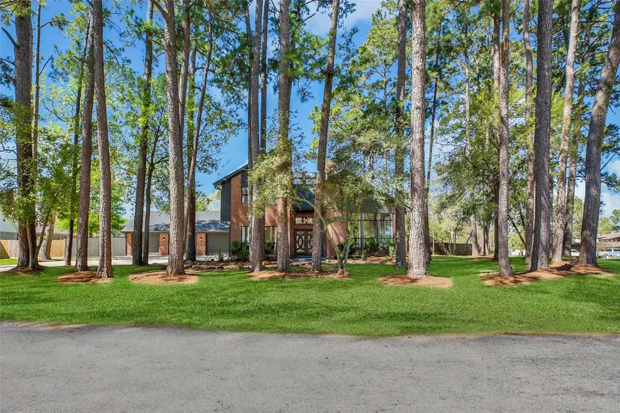 14520 Diamondhead N, Montgomery, TX 77356 - #3