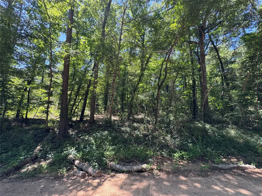2374 Holly Grove Road, Livingston, TX 77351 - #3