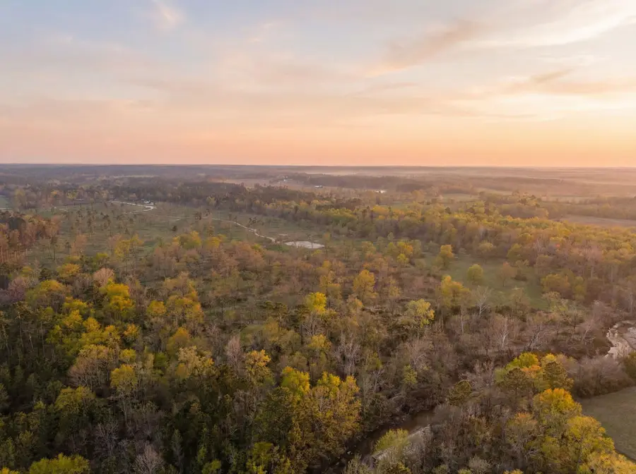 Lot 6 Johnson Drive, Livingston, TX 77351 - #3