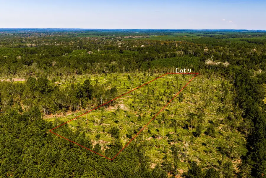 009 Buddy Lloyd Rd, Livingston, TX 77351 - #2