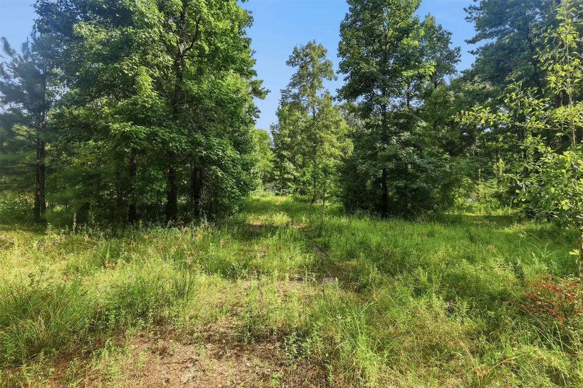 31577 Bohlssen Road, New Caney, TX 77357 - #1