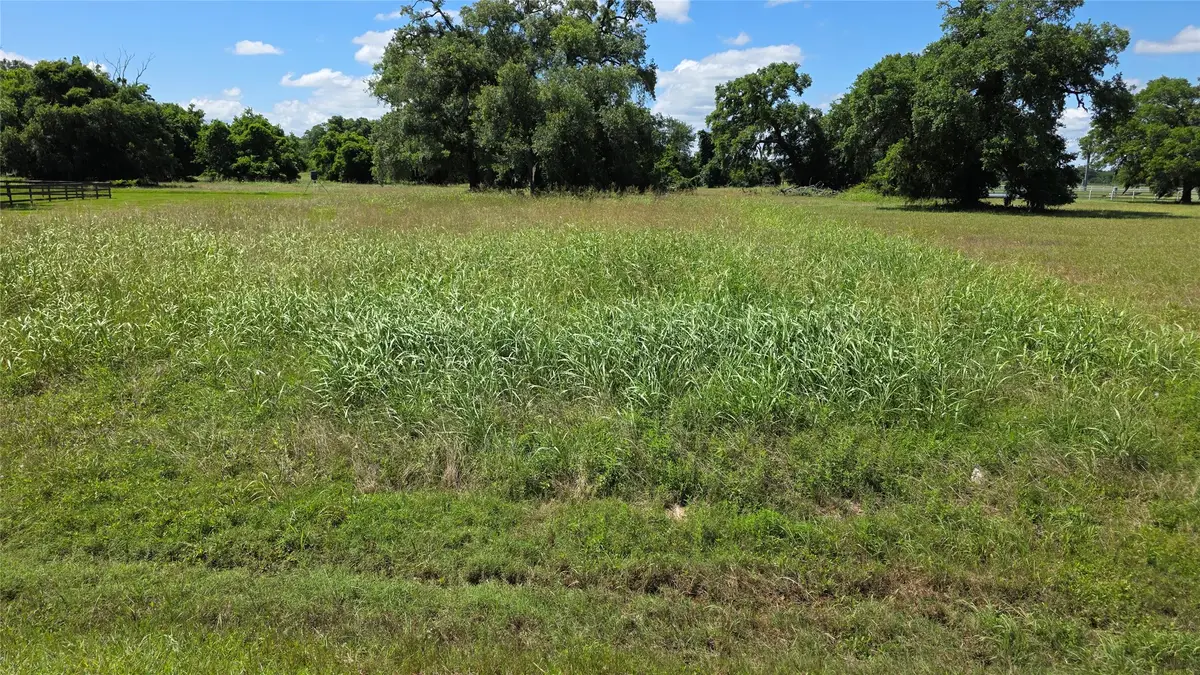235 Cattle Drive Trail, Angleton, TX 77515 - #1