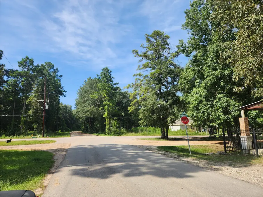 19094 Norfolk, New Caney, TX 77357 - Image #3