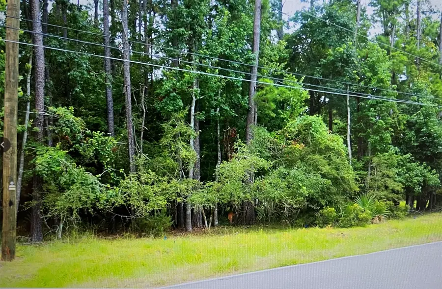 170 Carriage Hills Boulevard, Conroe, TX 77384 - Image #3