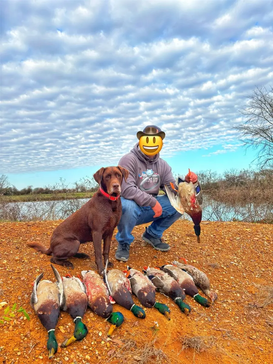 000 Fm 132, Crockett, TX 75835 - Image #2