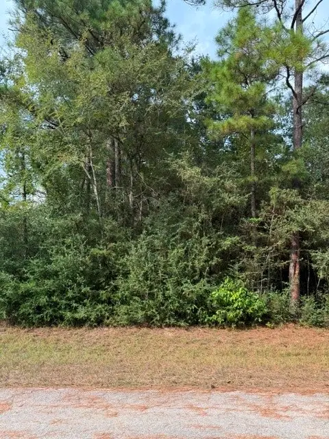 0 Tbd Little John Circle, Hockley, TX 77447