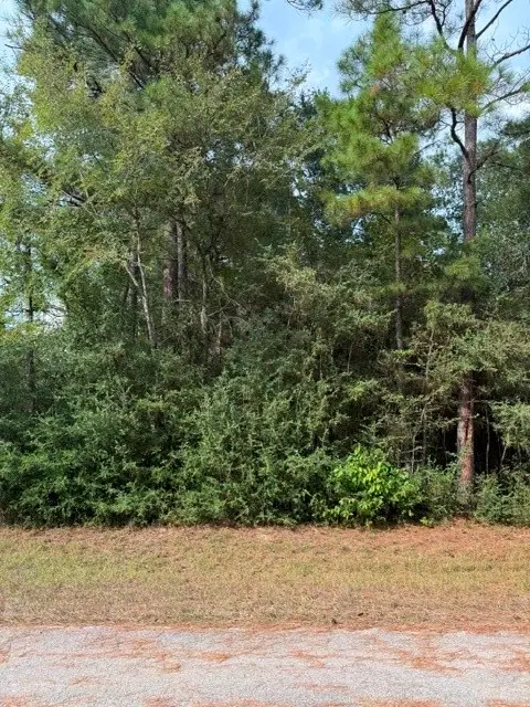 00 Tdb Little John Circle, Hockley, TX 77447 - #2