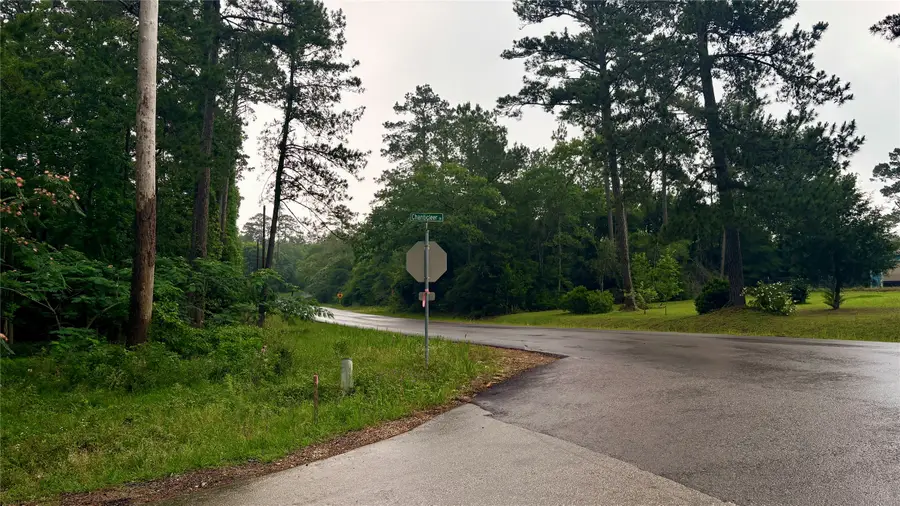 Lot 19&20 Perdilot Drive, Ivanhoe, TX 75979 - #3