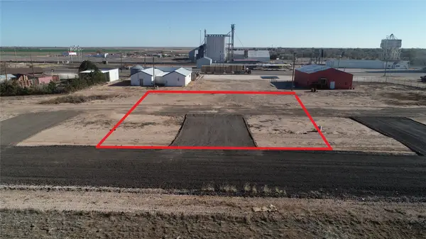 204 Hartwell Avenue, Bovina, TX 79009