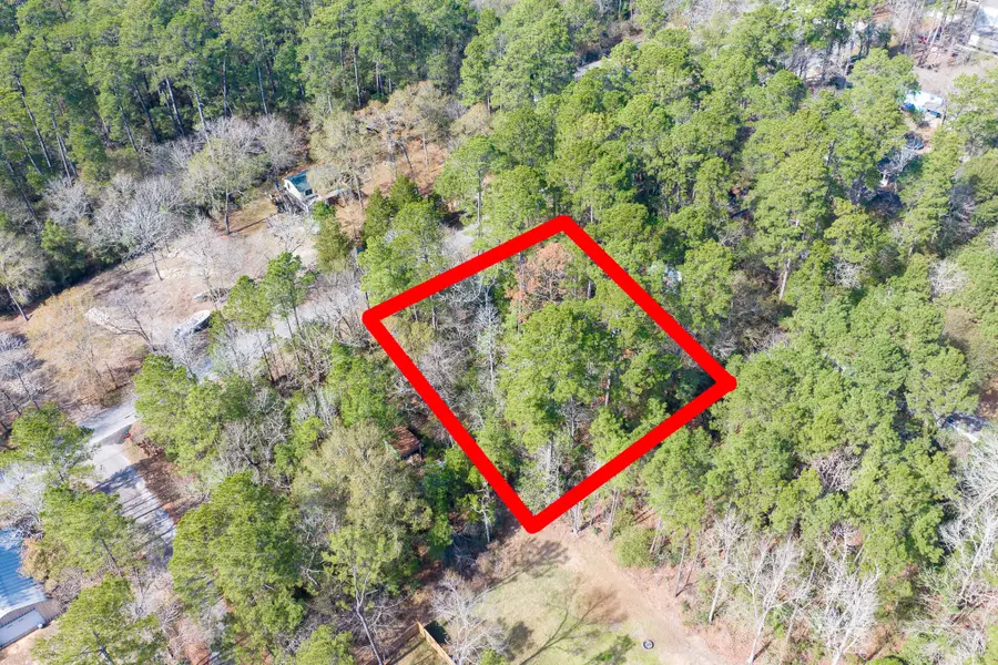 0 Forest Drive, Montgomery, TX 77356 - #2