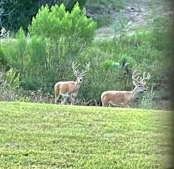 1108 County Road 152, Hallettsville, TX 77964