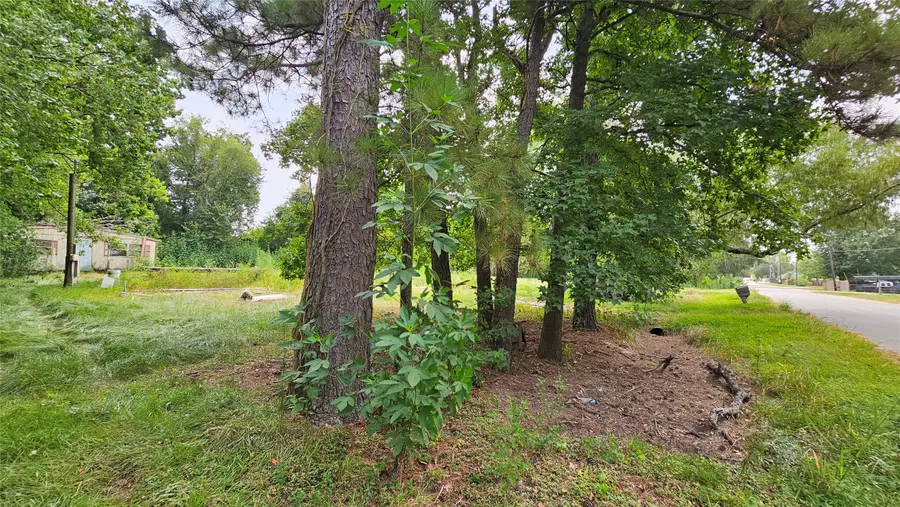 23891 Stanart Road, Porter, TX 77365 - #2