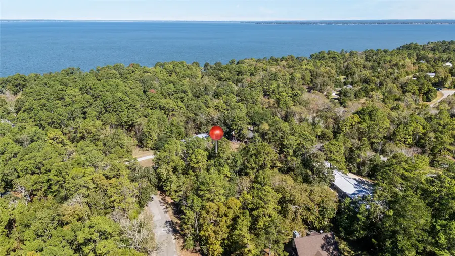 26 N Royale Greens Drive, Coldspring, TX 77331 - Image #2