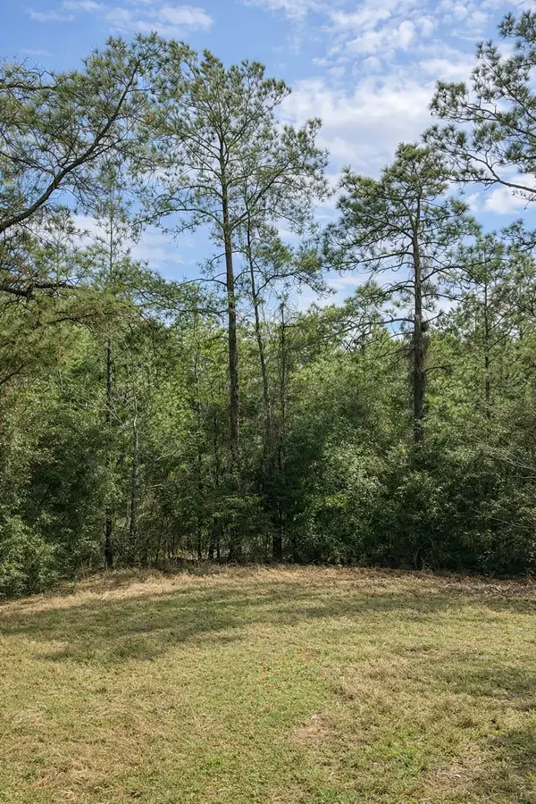 TBD 123 Palmer Drive, Brookeland, TX 75931