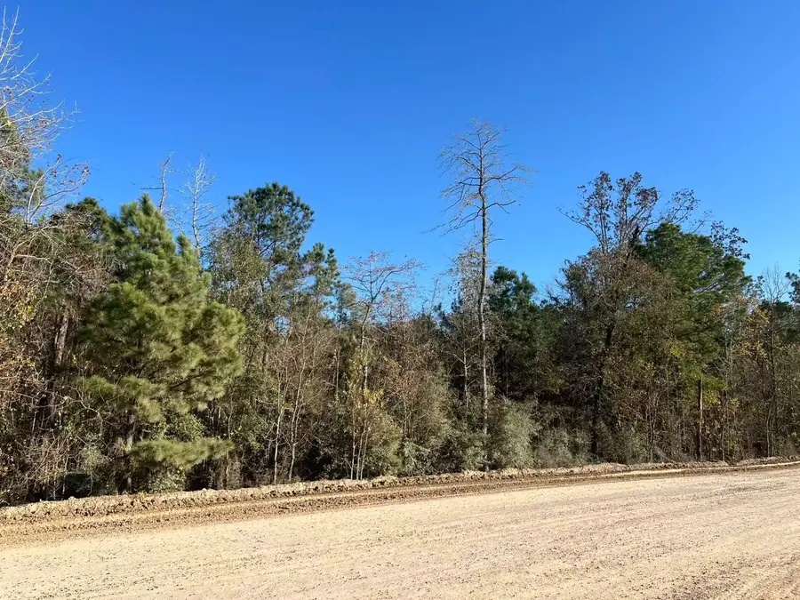 000 West Village Way, Conroe, TX 77302 - Image #2