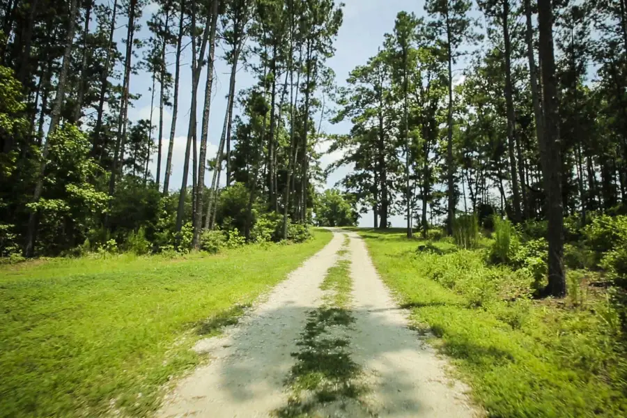 349 B Lee Road Road, Groveton, TX 75845 - Image #3