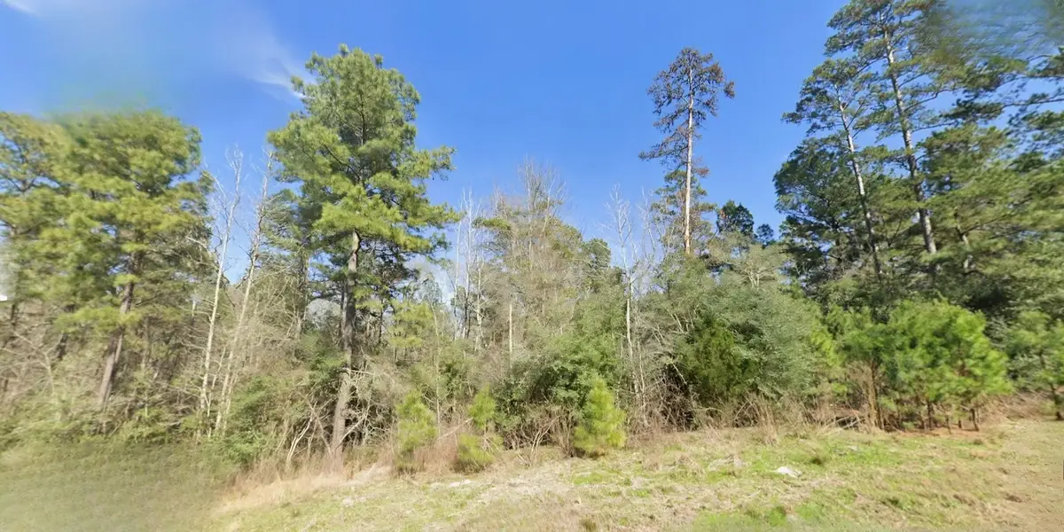 7-23-83 Sky Oak Lane, Huntsville, TX 77340 - #1