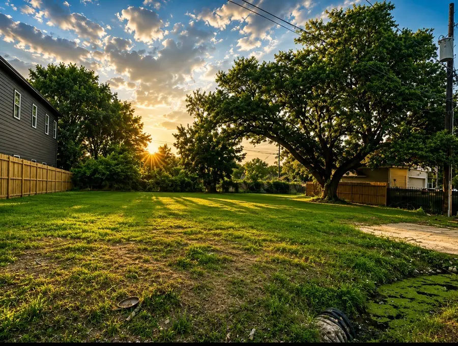 409 N Carolina Street, Houston, TX 77029 - #2