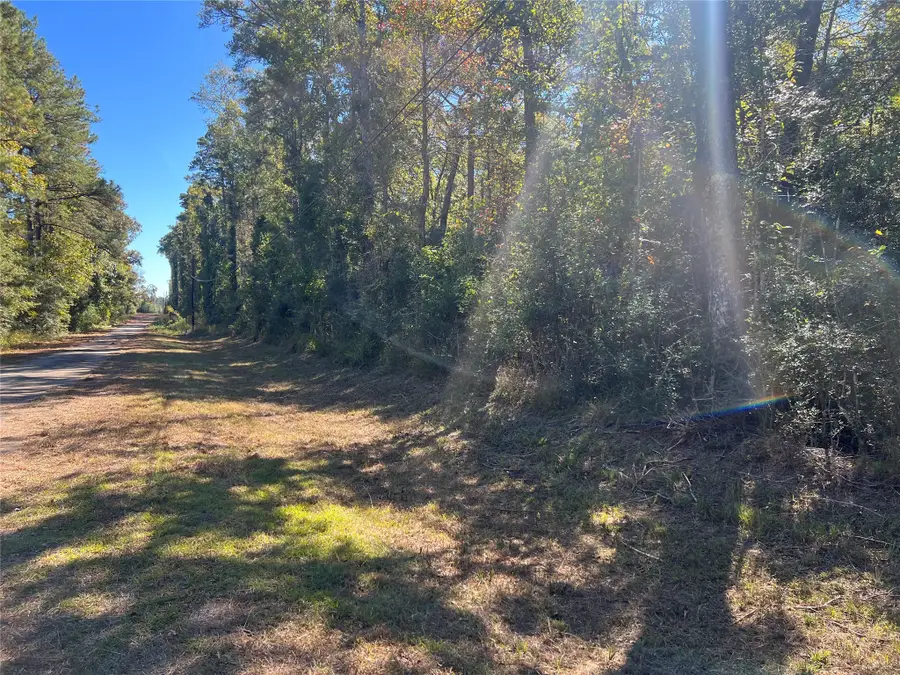 162 Meadow Lane, Livingston, TX 77351 - Image #3