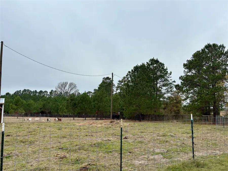 707 Bill Rasbeary Road, Apple Springs, TX 75865 - Image #3