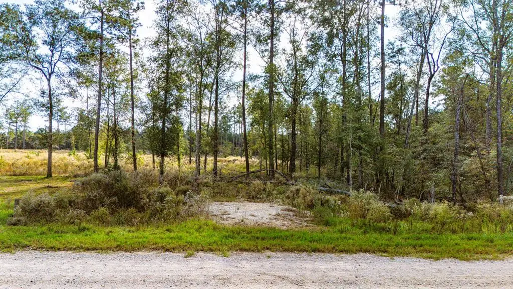 922 Rolling Pines Drive, Livingston, TX 77351 - #1