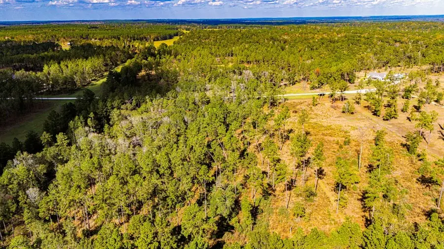 922 Rolling Pines Drive, Livingston, TX 77351 - #3