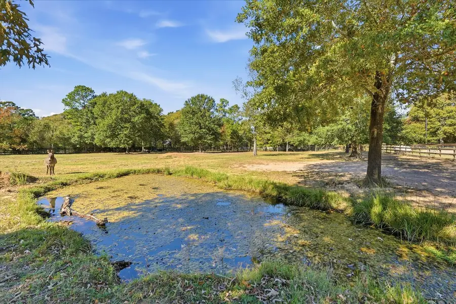 Lot 34 Walnut Crossing, Magnolia, TX 77355 - Image #3