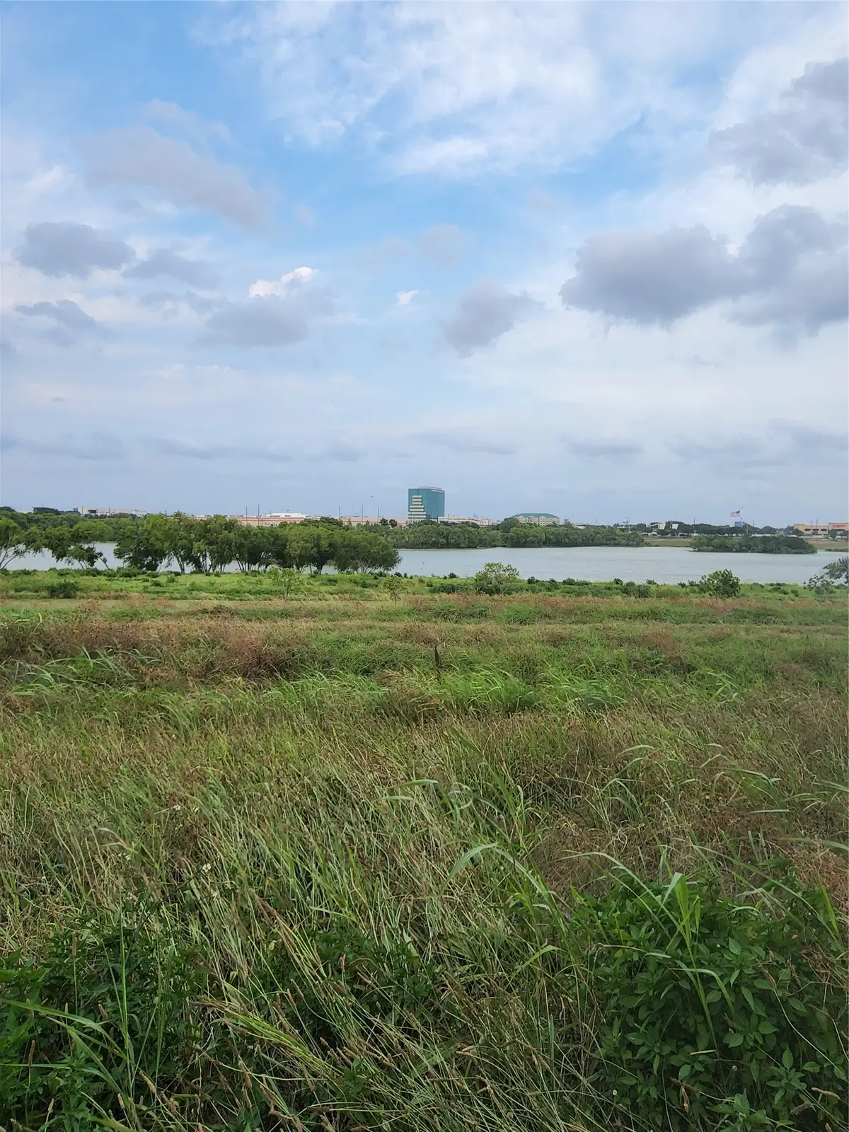 10555 Turtlewood Court #1206, Houston, TX 77072 - #1