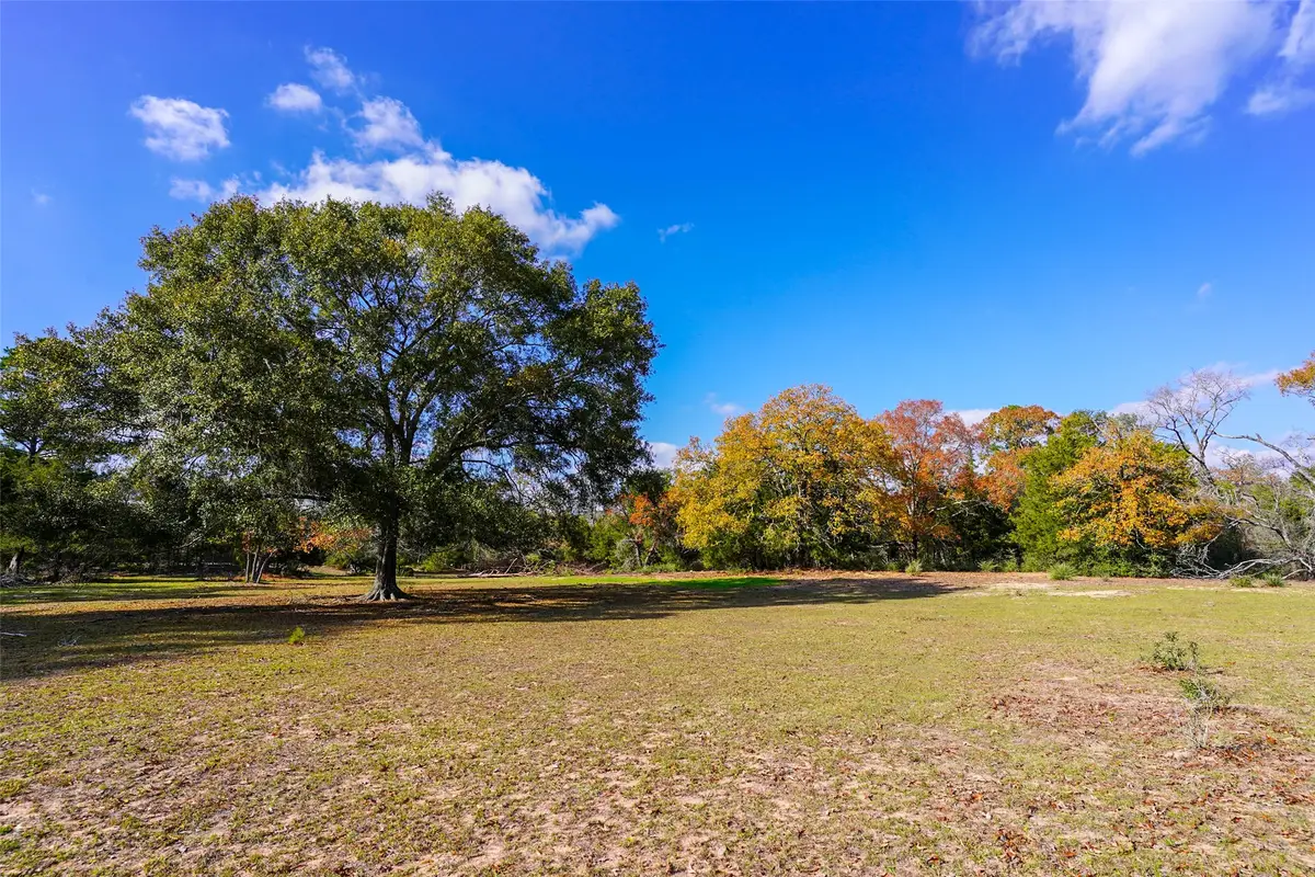 31174 Courtney Rd, Navasota, TX 77868 - Image #1