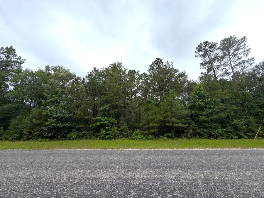 16-1-1 Texas Grand Road, Huntsville, TX 77340 - #2