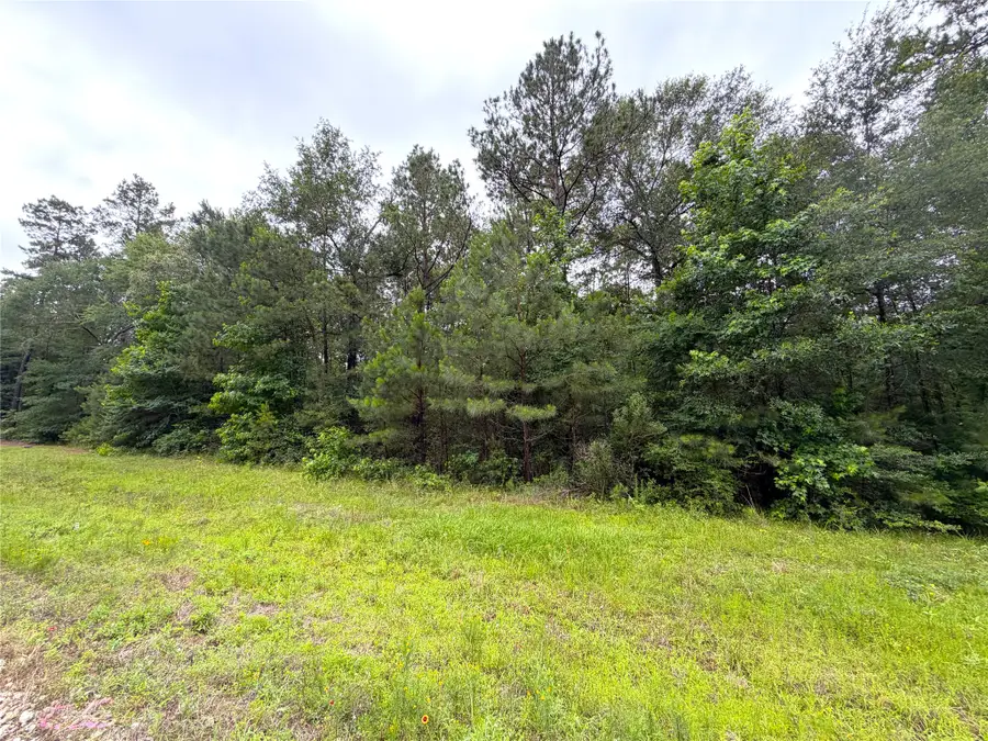 16-1-1 Texas Grand Road, Huntsville, TX 77340 - #3