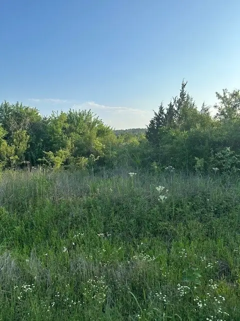 TBD Donahoe Road, Coldspring, TX 77331 - Image #2